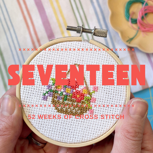 Mini Stitch Project - SEVENTEEN
