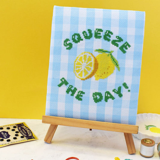 a cross stitch design with gingham aida and a lemon themed motif with 'squeeze the day' motto.