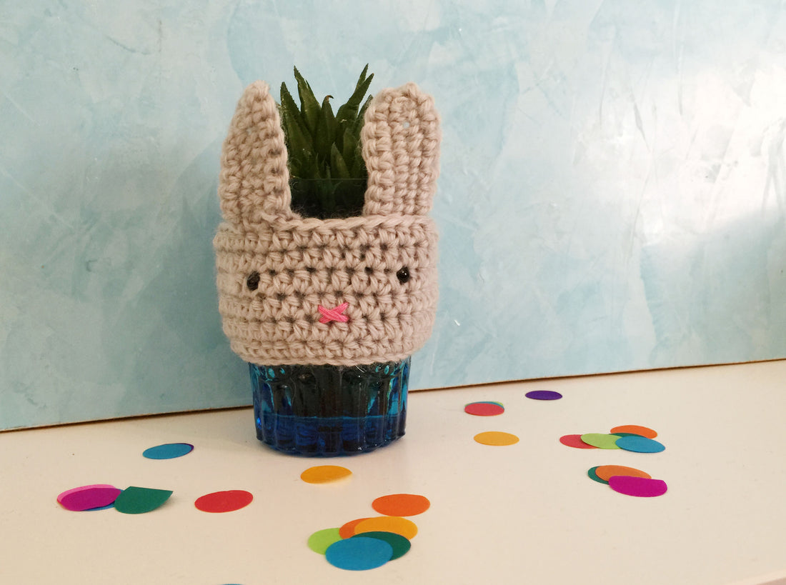 Crochet Cacti Cosy!
