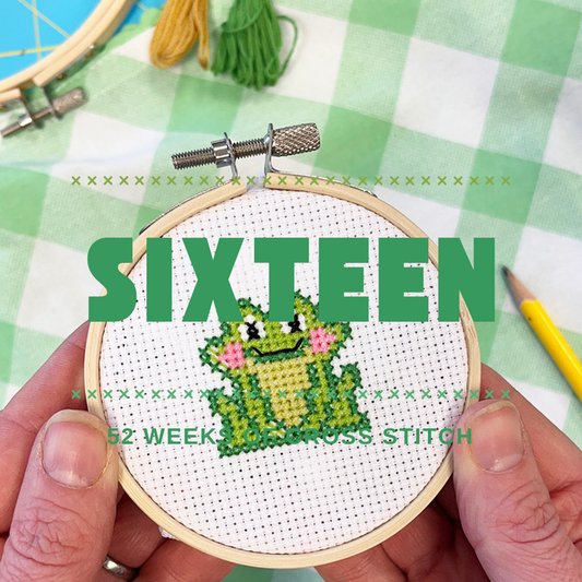 Cross-stitched frog design held in hands with text 'SIXTEEN' on a green checkered background