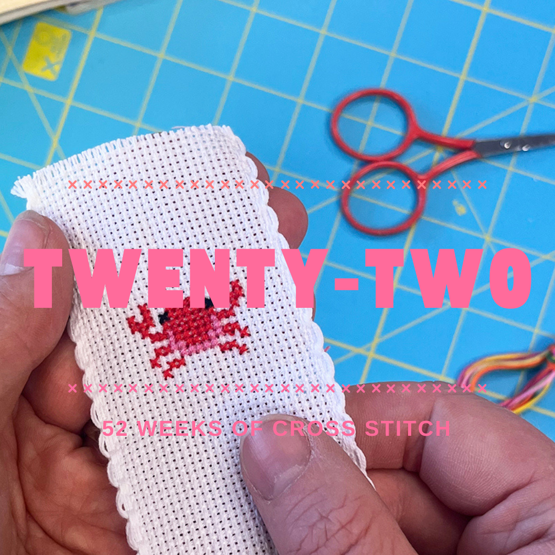 Mini Stitch Project - TWENTY TWO