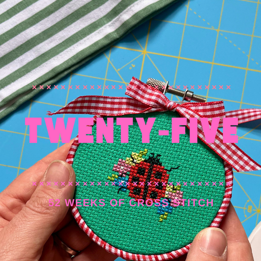 Mini Stitch Project - TWENTY FIVE