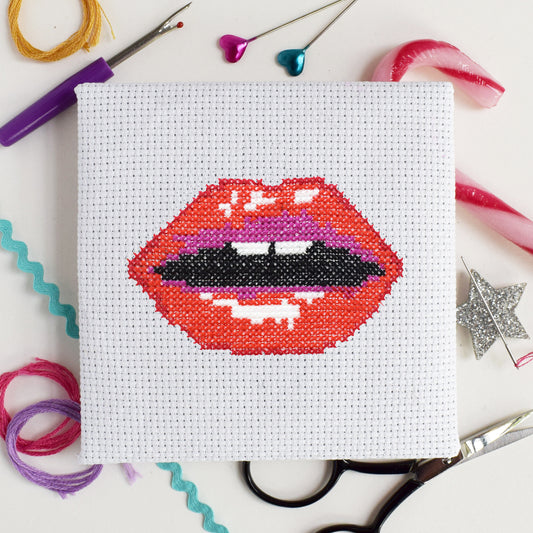 'Read my Lips' Mini Cross Stitch Kit