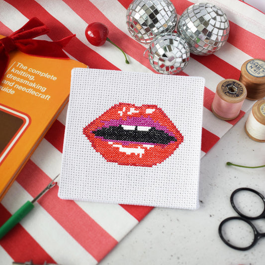 'Read my Lips' Mini Cross Stitch Kit