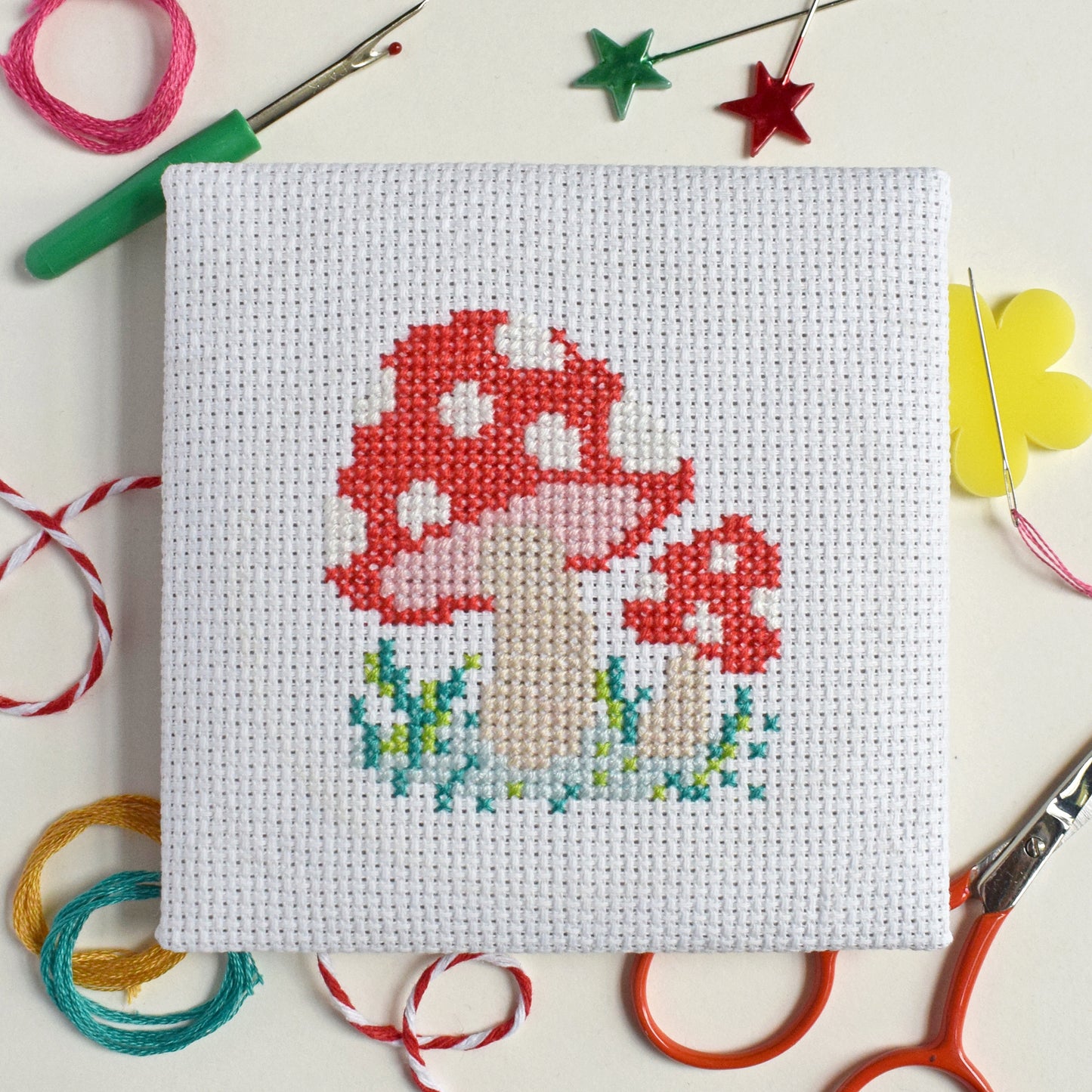 'Toadstool' Mini Cross Stitch Kit