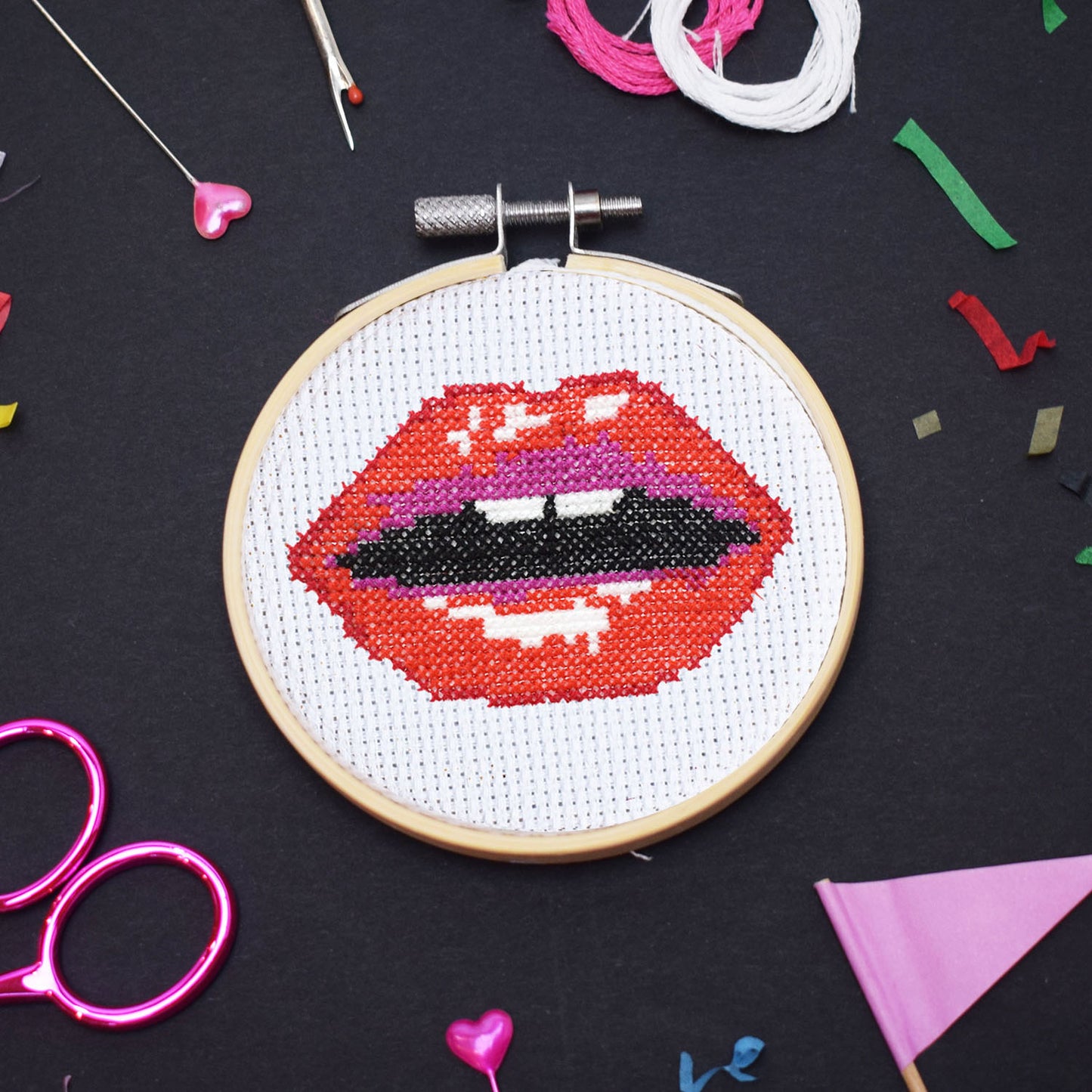 'Read my Lips' Mini Cross Stitch Kit